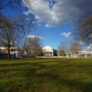 The Lawn