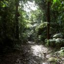 Visitor attractions in Guadeloupe