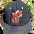 2005 disestablishments in Maine