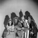 The Wizard of Oz - Judy Garland - 454 x 571