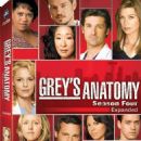 Grey's Anatomy (season 4) episodes