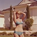 Inger Stevens - 454 x 580