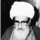 Mohammad Ali Araki