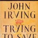 Short story collections by John Irving