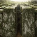 The Maze Runner