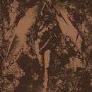 Converge / Napalm Death Split - Converge