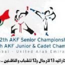 2013 in Emirati sport