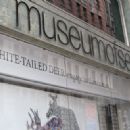 Sex museums in the United States
