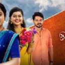 Tamil-language television series based on non-Tamil-language television series