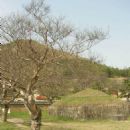 Taebong