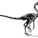 Barun Goyot Formation