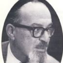 Louis Isaac Rabinowitz