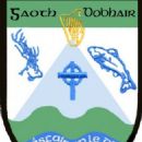 1931 in Gaelic games