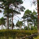 Protected areas of Russia