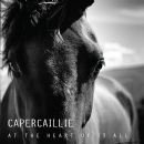 Capercaillie (band) albums