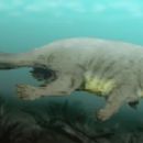 Taxa named by Alan R. Tabrum