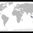 Indonesian language