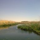 Wetlands of Jordan