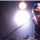 Panda Bear - 450 x 342