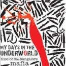 Novels set in Bengaluru