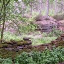 Forests and woodlands of Cumbria