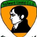 1966 in Gaelic games