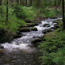 Greifenbach