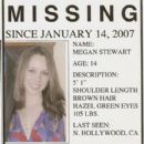 Megan Is Missing