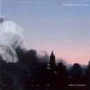 The Disintegration Loops