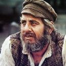 Topol 1935 - 2023 - 253 x 380