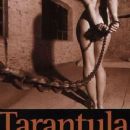 Tarantula (novel)