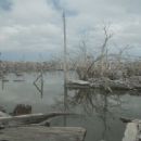 1985 disasters in Argentina