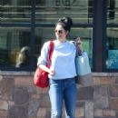Sarah Silverman – Goes Grocery Shopping In Los Feliz - 454 x 681
