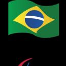Disability organisations based in Brazil
