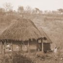 Magomana