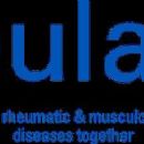 Rheumatology organisations