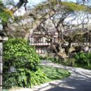 Native Hawaiian culture in Honolulu