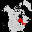 1960s in Connecticut
