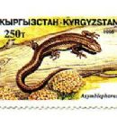 Taxa named by Alexander M. Panfilov