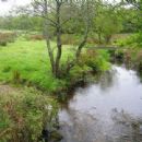 Dart catchment