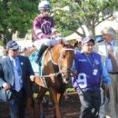 Breeders' Cup winners