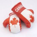 Canadian male boxers