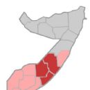 2011 in Somalia