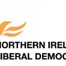 Organisation of the Liberal Democrats (UK)