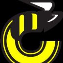 Ice hockey clubs disestablished in 1979