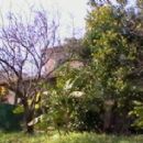 Nature conservation in Europe