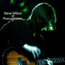 Steven Wilson - 293 x 400