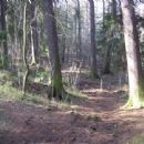 Parks in Finland