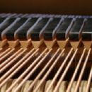 String instrument makers