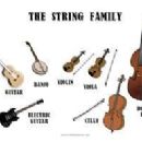 String musicians